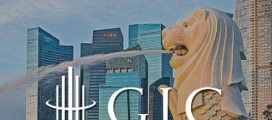 国际资金寻优质项目